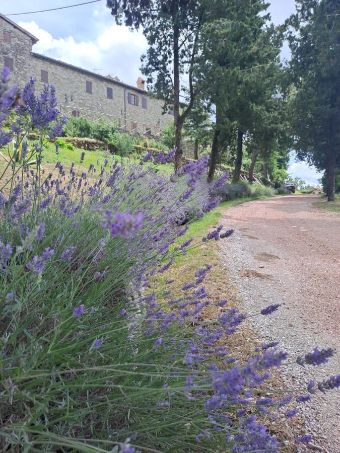 Abbazia Di Vallingegno Farm stay Gubbio